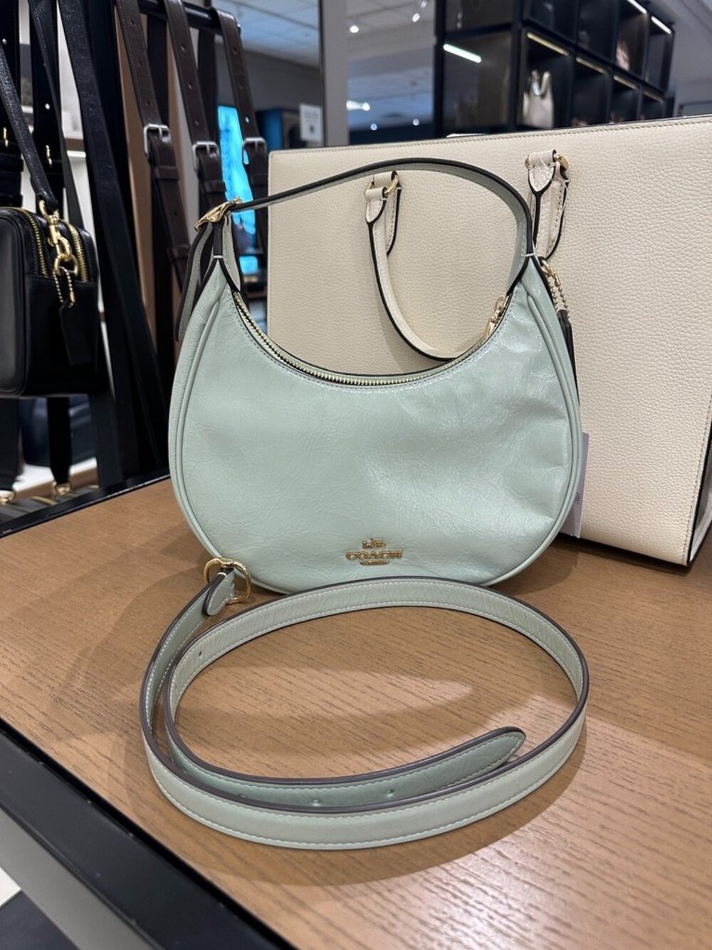 NWT! Coach CDX24 Emily Shoulder Bag Crossbody Glazed Leather In Light Pistachio